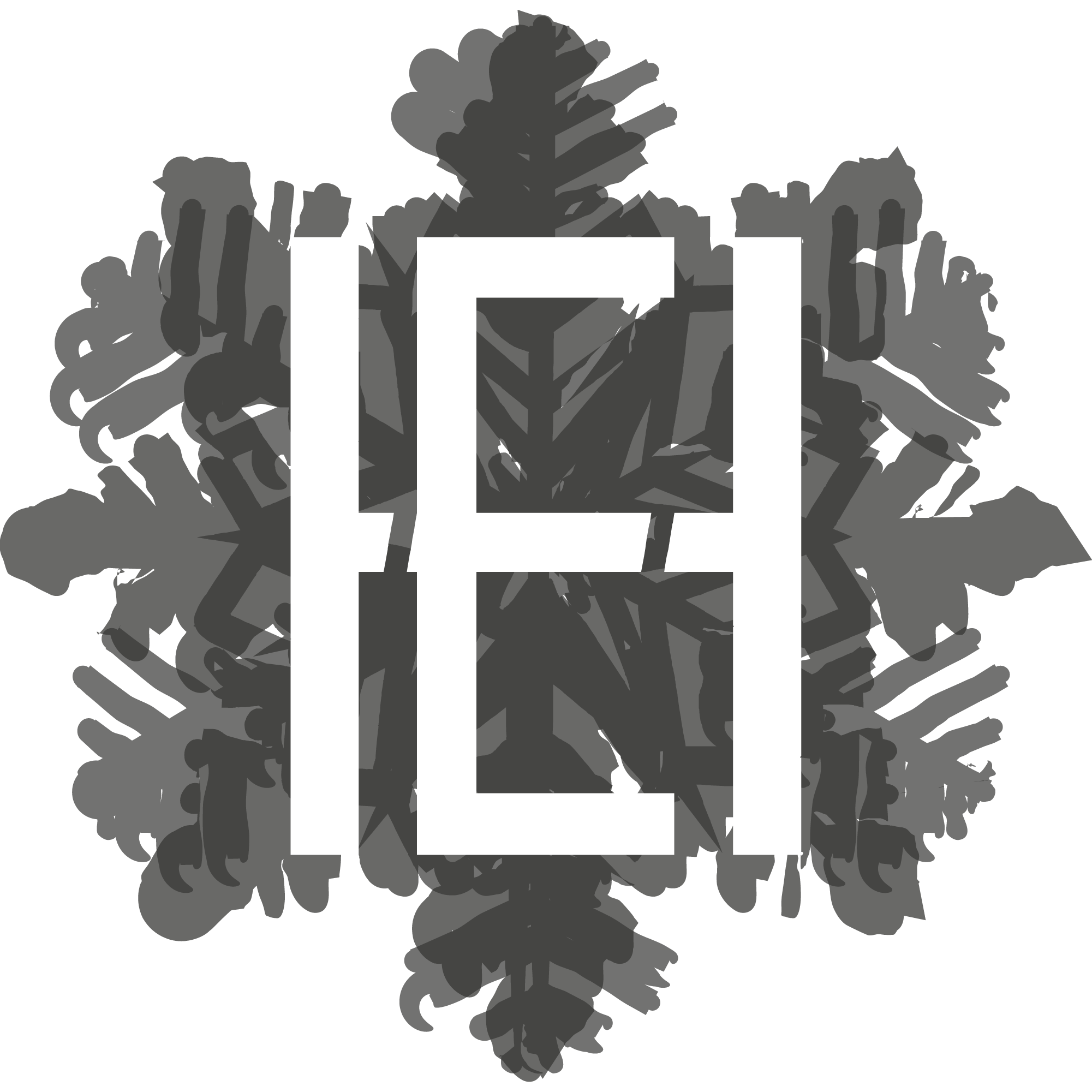 Haizea Elurtza Galparsoro